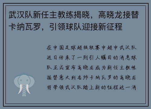 武汉队新任主教练揭晓，高晓龙接替卡纳瓦罗，引领球队迎接新征程